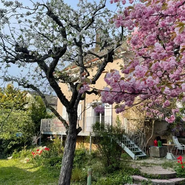 au jardin, hotel v destinaci Zuchwil