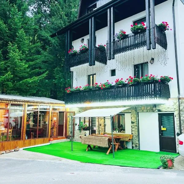Cabana Din Poienita, hotel v destinaci Poiana Brašov