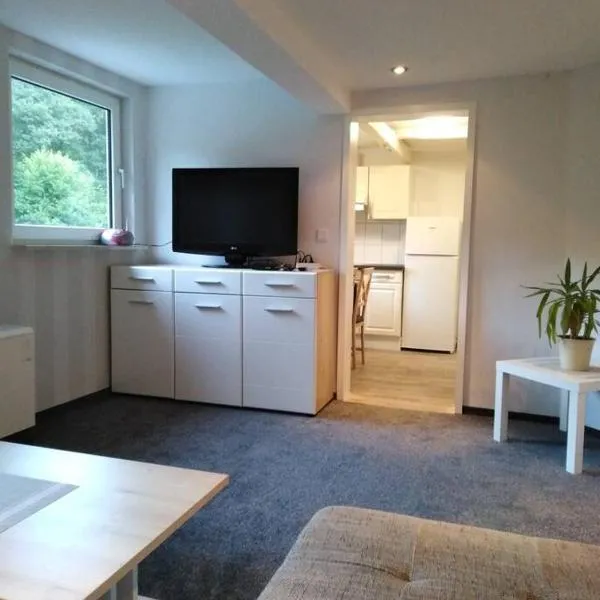 올스베르크에 위치한 호텔 Wohnung im Grünen in Olsberg