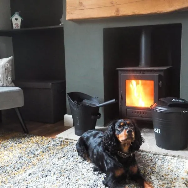 Large Cottage, Beach, Pubs Shops, Netflix, BBQ, Dog Friendly, hotel in Hunmanby