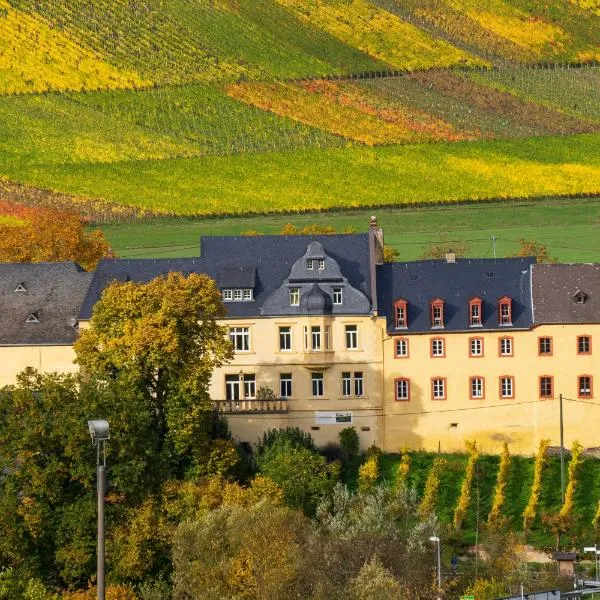 wohnen auf dem Weingut - klein und fein - Wengertssube, ξενοδοχείο σε Maring-Noviand