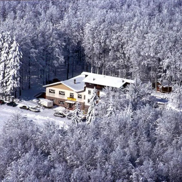 Albergo Le Macinaie - Monte Amiata，卡斯泰爾德爾皮亞諾的飯店