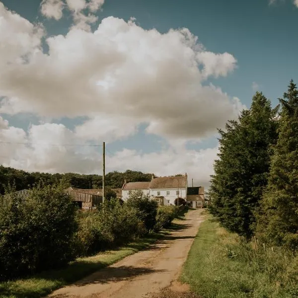 White Side Cottage: Haltwhistle şehrinde bir otel