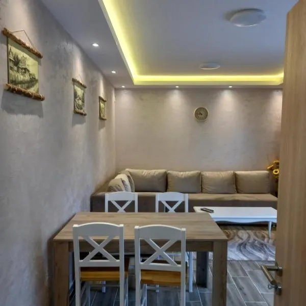 Holiday Tara, hotel v destinaci Šljivovica