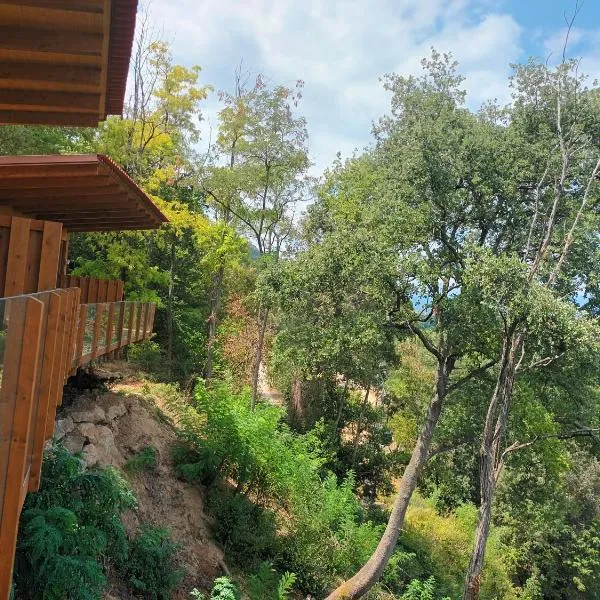 베살루에 위치한 호텔 CAMPING DE BESALU