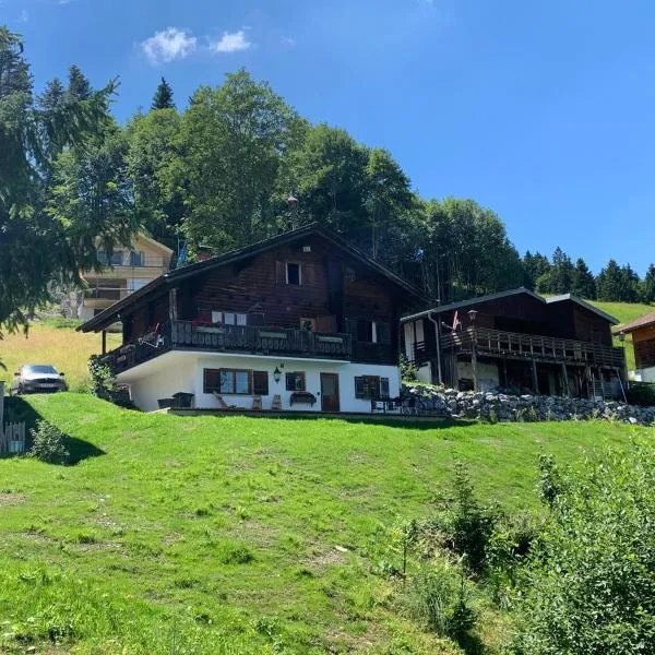 Ferienwohnungen im Blockhaus Metzler, hotel v destinácii Schwarzenberg im Bregenzerwald