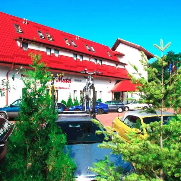 Pensiunea Casa Matei, hotel en Măgura