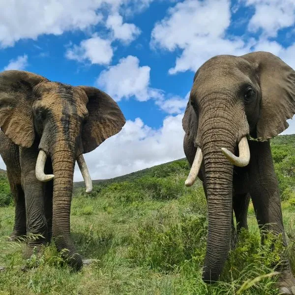 Indalu Game Reserve, hotel en Albertinia