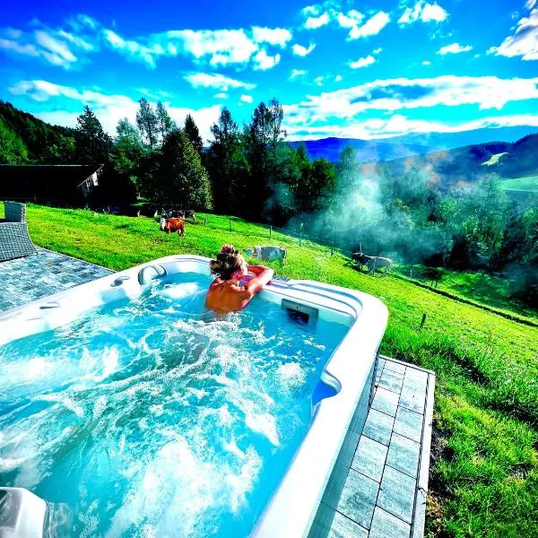 Chalet Bergblick, hotel in Sankt Blasen