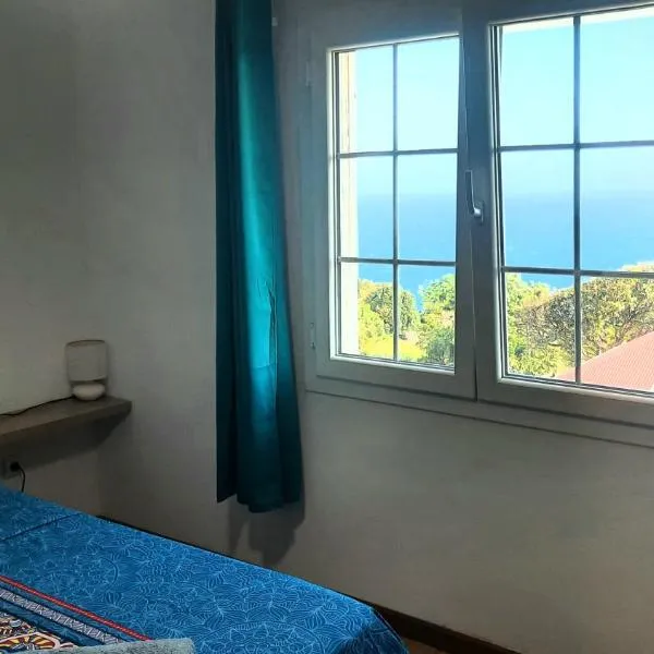 Chambre vue sur mer entre Grande Anse et Manapany，小島市的飯店