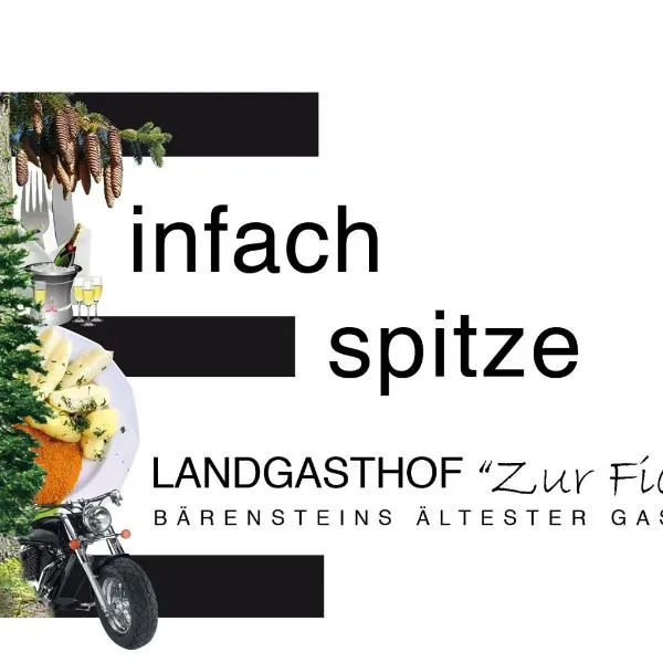 Landgasthof Zur Fichte, hotel en Jöhstadt