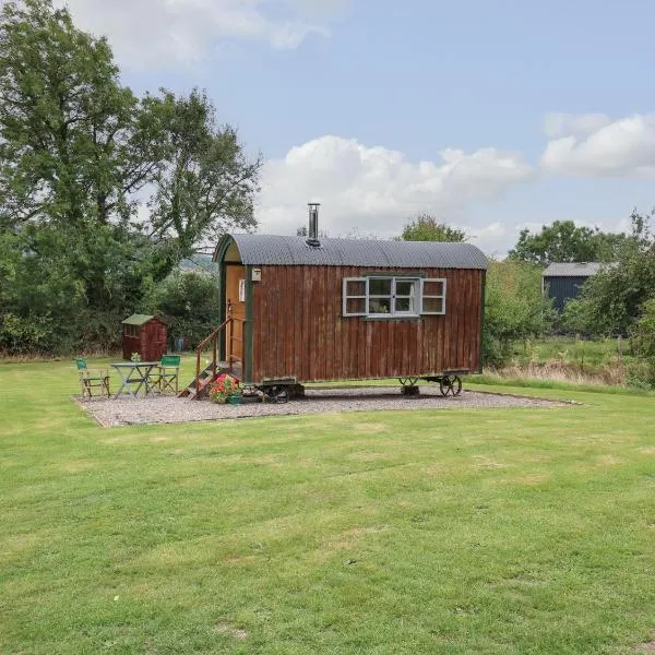 Brown Hare Shepherds Hut, hotel in Brecon
