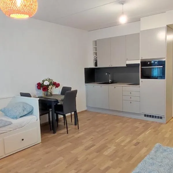 Ruby studio 5min to Vantaa Airport and 20min to Helsinki center, hotelli kohteessa Klaukkala