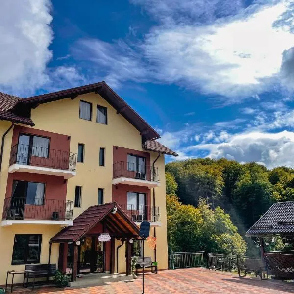 Pensiunea 7 Brazi II, hotel in Poiana Mărului