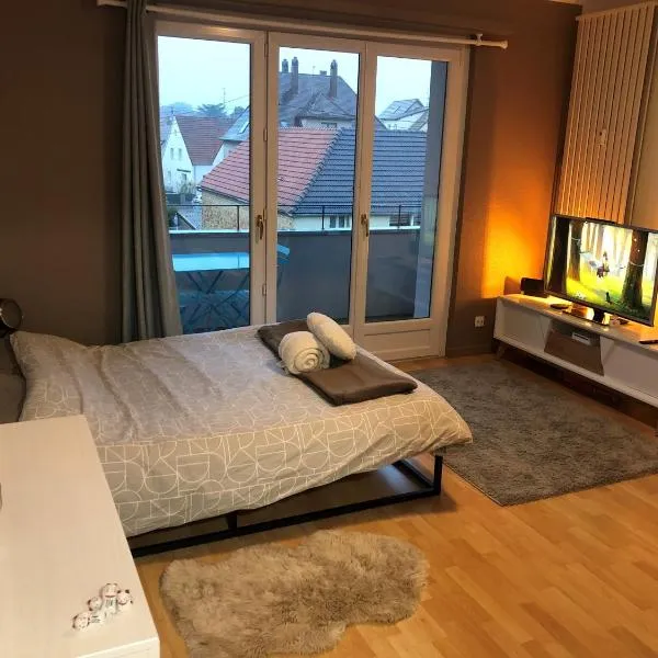 Cosy-Adventure : Haguenau, hotel v destinácii Haguenau