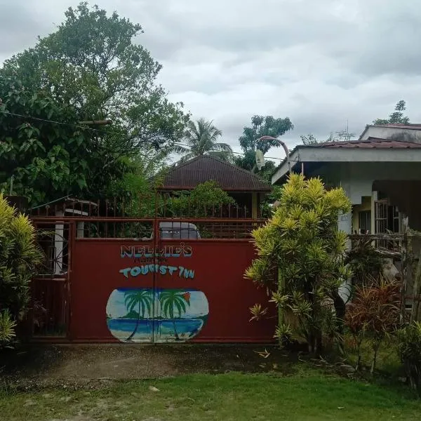 Nellie's Tourist Inn- Port Barton, hotel in San Vicente