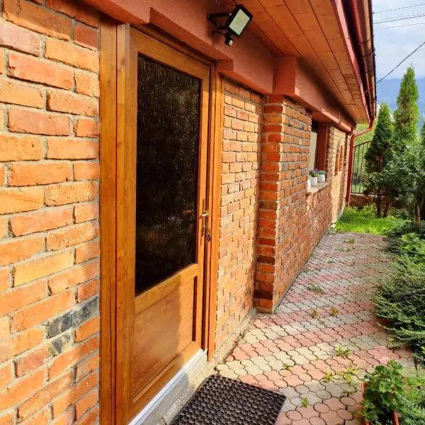 Casa Rustica, hotel in Borşa