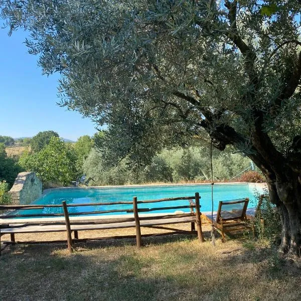 GITE COCOTTE, hotel in Pierrerue