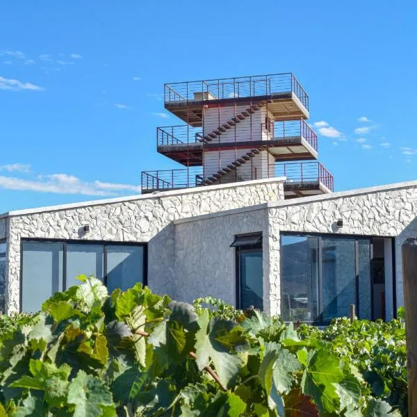 Viñedo Casa la Noria, hotel a El Porvenir