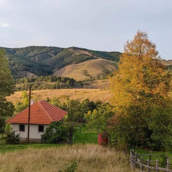 Studenac Mionica, hotel in Bogdanovići