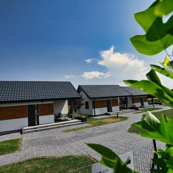 Apartamenty i Domki u Basi, מלון בזאטור