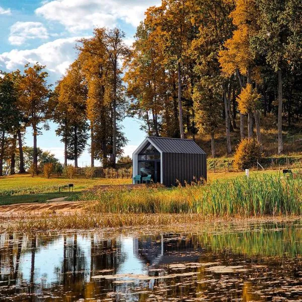 PullanHouse Līksma - small and cosy lakeside holiday house, hotel in Alūksne