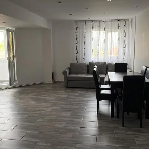LA CARMEN VULCAN! Apartament cu 3 camere !, hotel a Vulcan