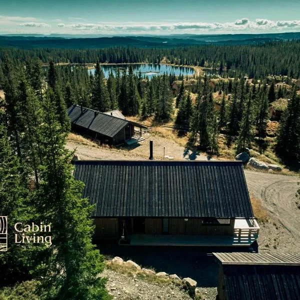 New large cabin Ski in out Sjusjøen & sauna, khách sạn ở Ringsaker