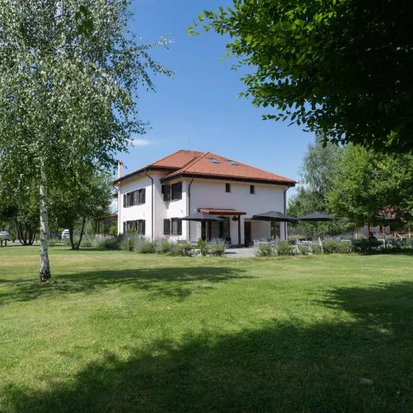 Pensiunea Negoiu, hotel v destinaci Porumbacu de Sus