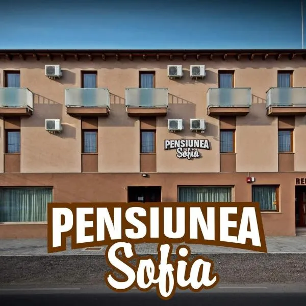 Pensiunea Sofia, מלון בPecica Veche