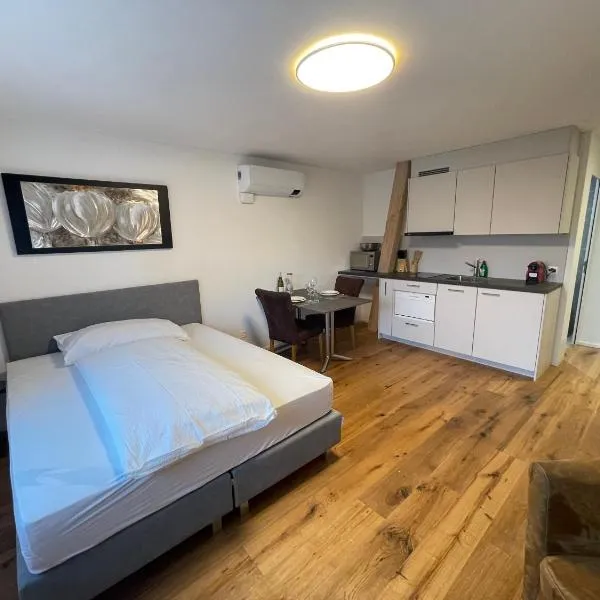 SCHNYDER'S HOME Studio_2, hotel v destinaci Rapperswil-Jona