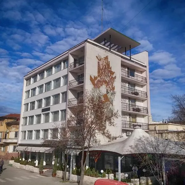 Bononia Hotel, hotel Vidinben