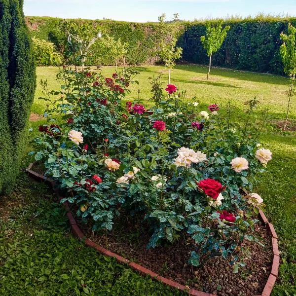 Sun Garden, hotel in Čitluk