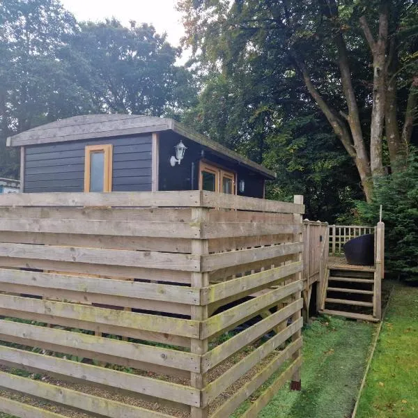 Glamping Hut - Riverside 1, hotel in Welshpool