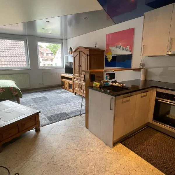 1 Zimmer Ferienwohnung 30 qm, khách sạn ở Steinen