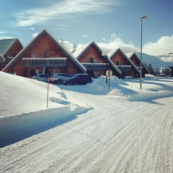 Chalet La joue du Loup、ル・デヴォリュイのホテル