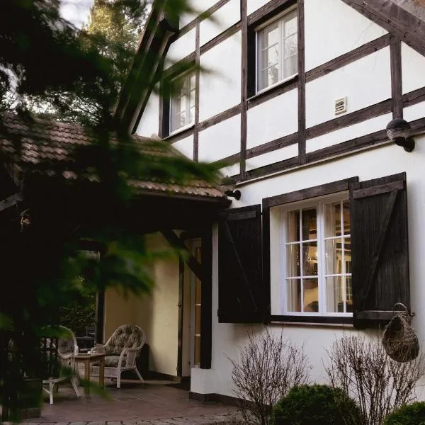 SILVA Guest House - dom wczasowy, tenis, basen, balia i sauna、ボルスクのホテル