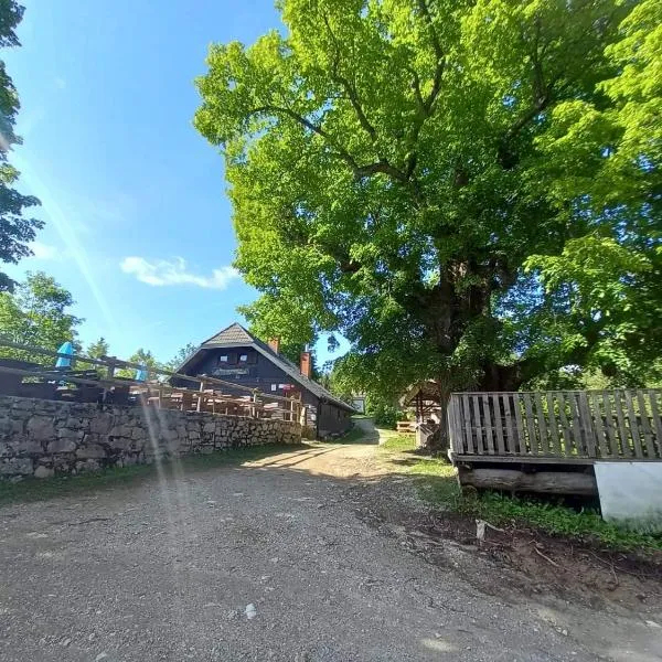 koča na pikovem, hotell i Črna na Koroškem