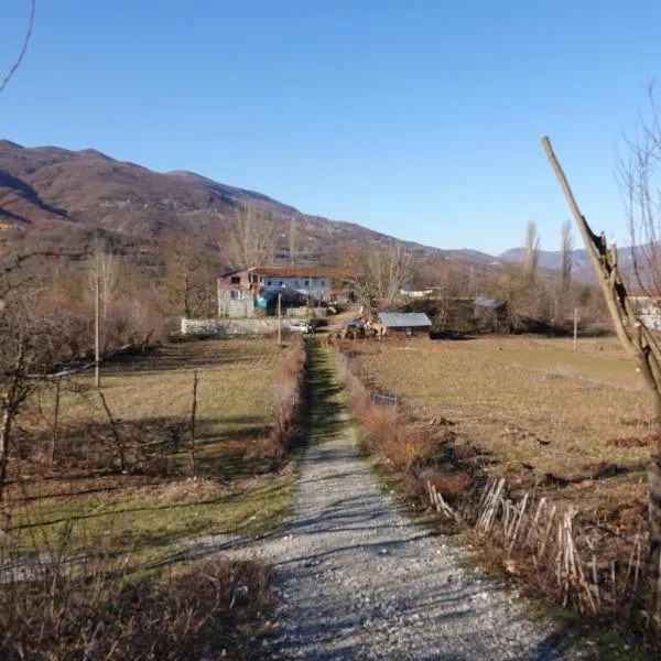 Guesthouse Arber, hotel in Lura e Vjetër