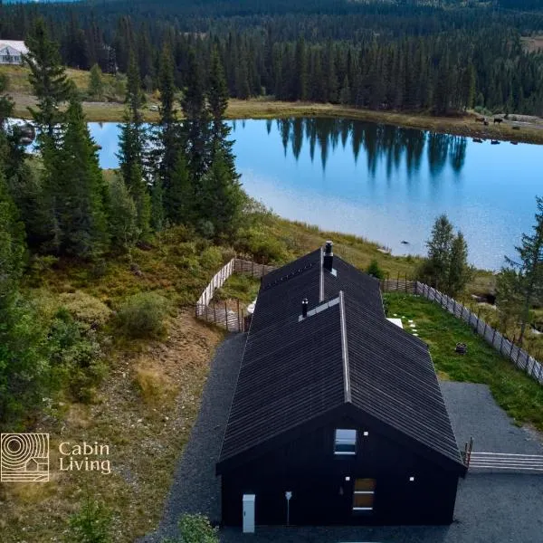 Unique cabin with fantastic lake view, sauna, ski & EV outlet, hotel in Svingvoll