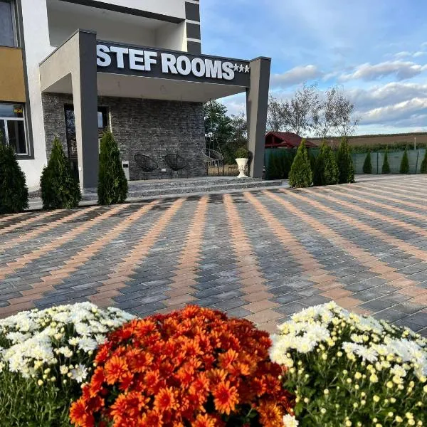 Stef Rooms, hotel in Oţeleni