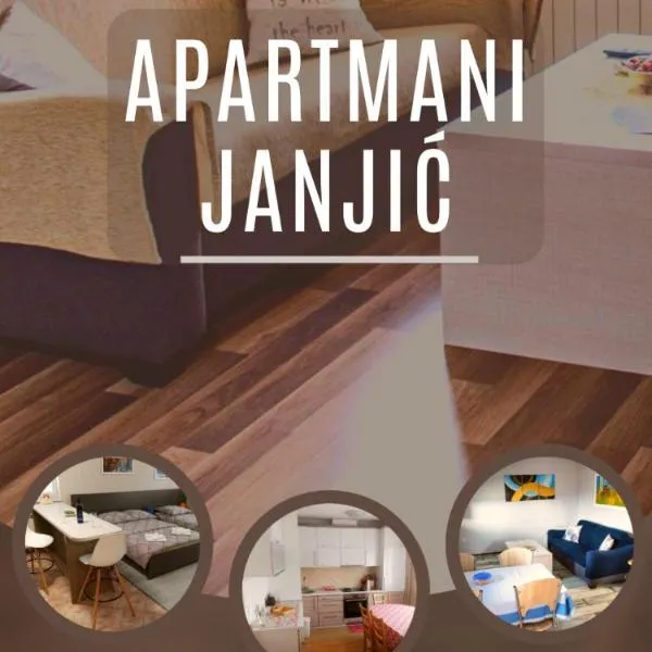 Apartmani Janjic，Jovići的飯店