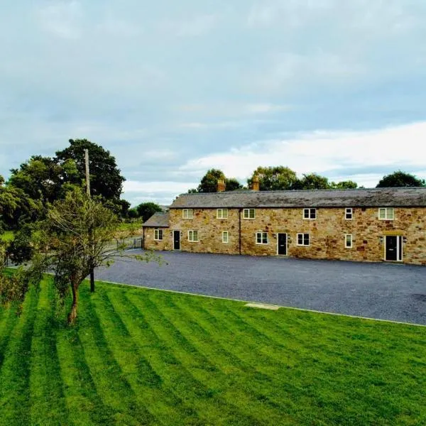Connah's Quay Park Farm Barns, hotel v mestu Bagilt