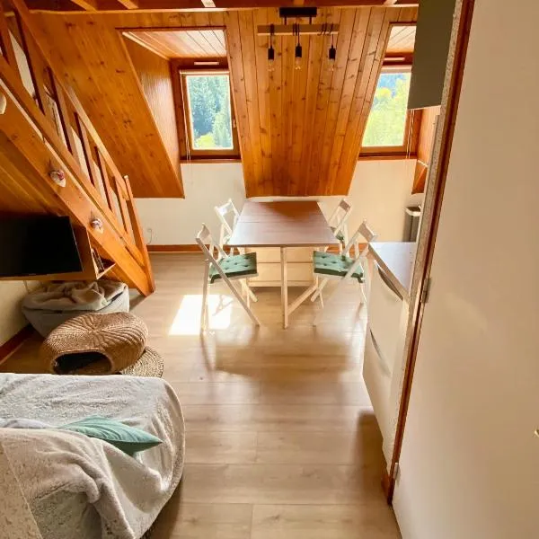 Appartement Chalet à 1400m - Station du Mourtis, hotel v destinácii Boutx