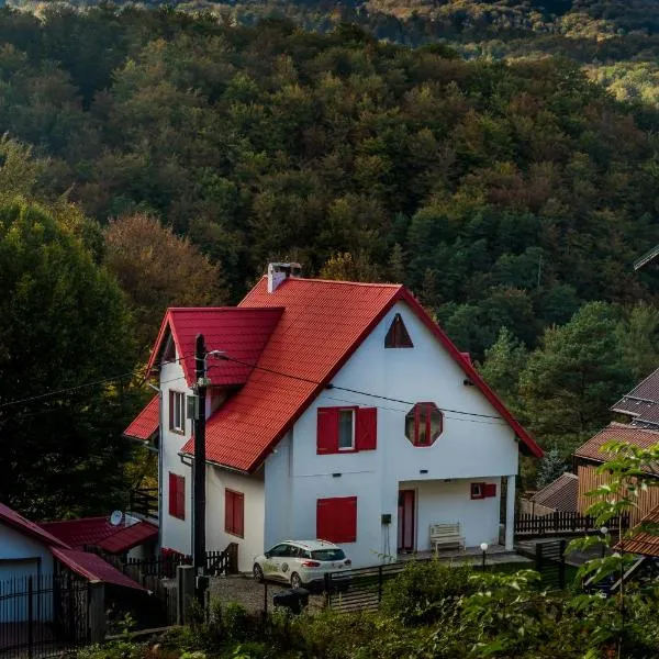 Casa Flavius, hotel in Văliug