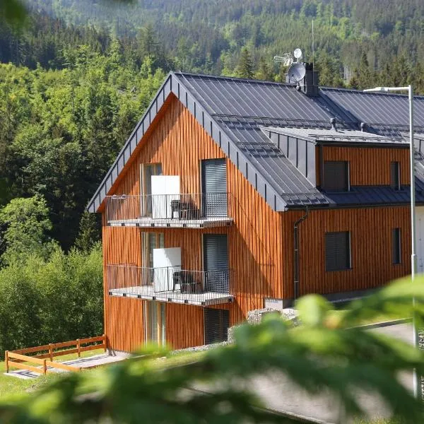 Apartmán Pod Klepáčem，位于Velká Morava的酒店