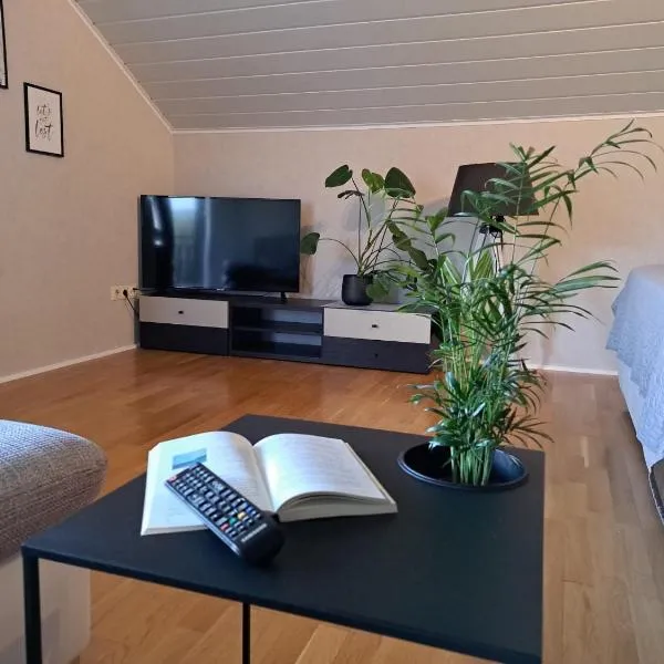 Ferienwohnung 29, hotel v destinaci Kreuzwertheim