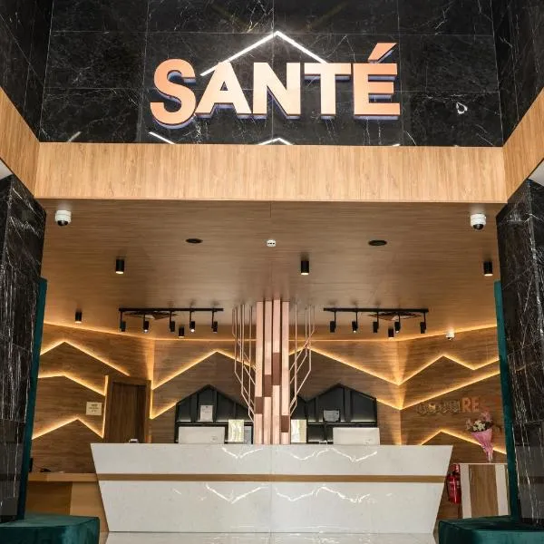 Santé SPA Hotel，韋林格勒的飯店