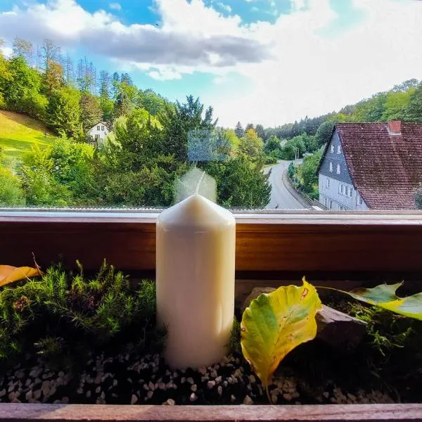 Gemütliche Ferienwohnung im Harz, hotel in Bad Grund
