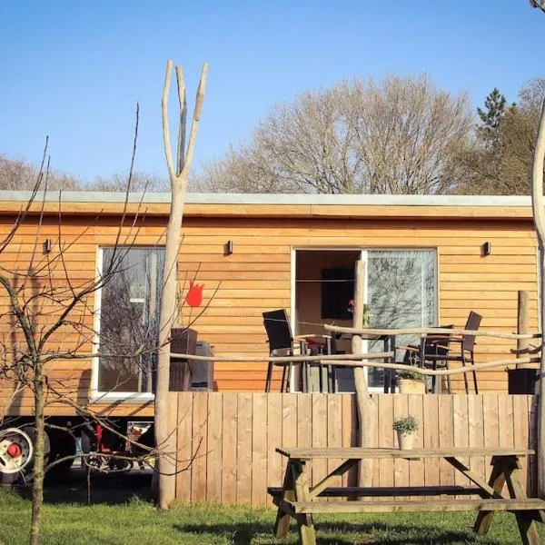 Tinyhouse Zirkuswagen- Kotten Kunterbunt, khách sạn ở Nottuln